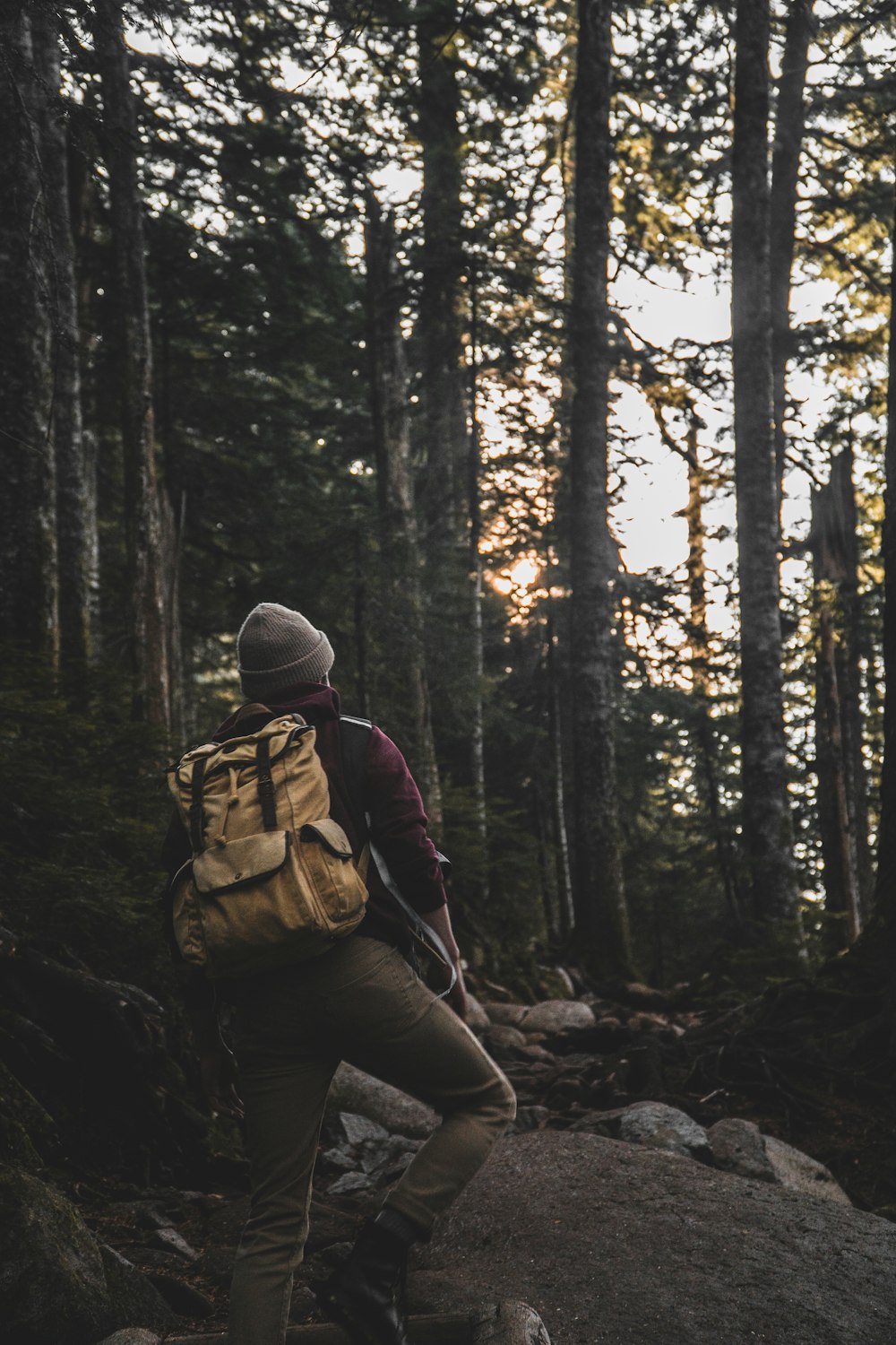 person hiking at the forest