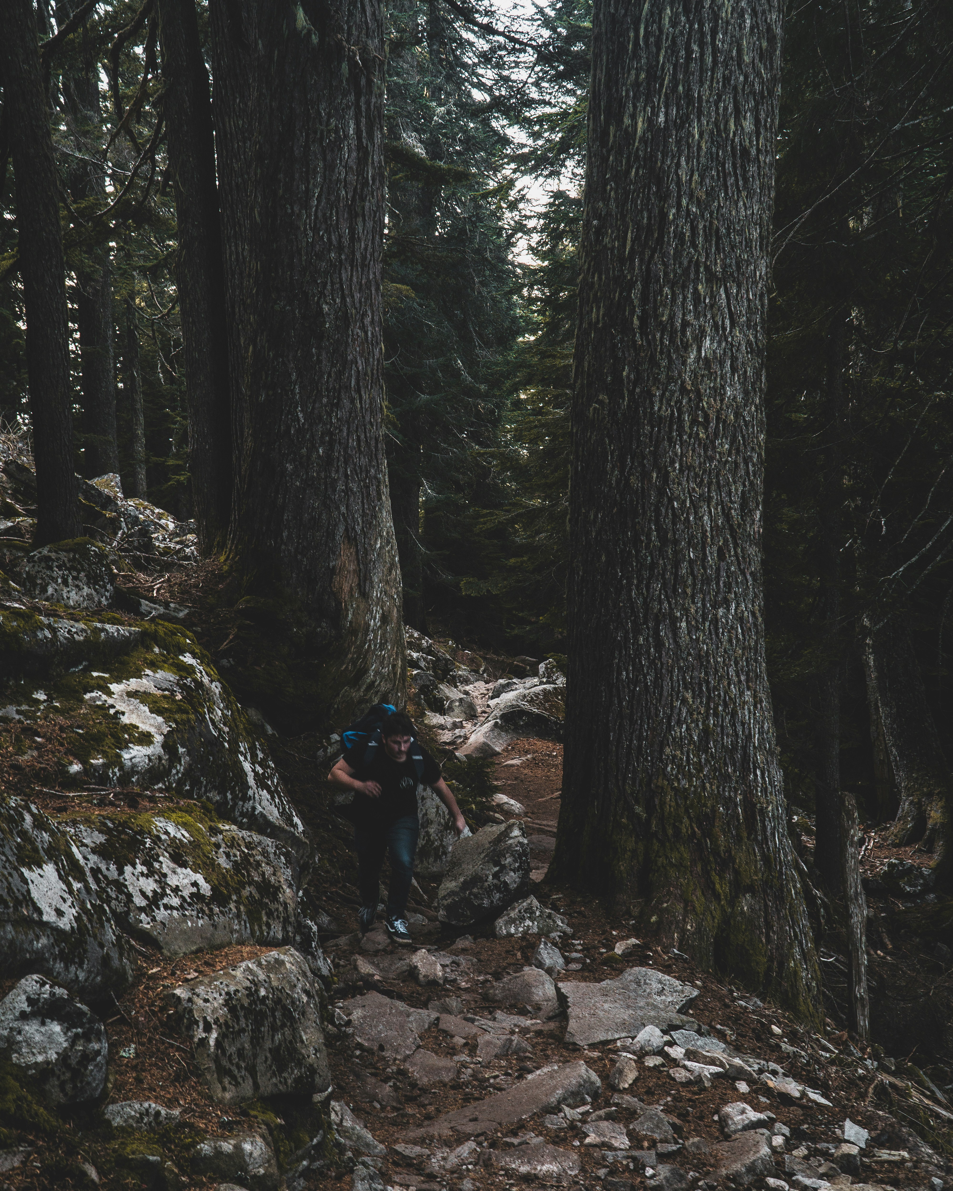 Photo by _tristanpineda