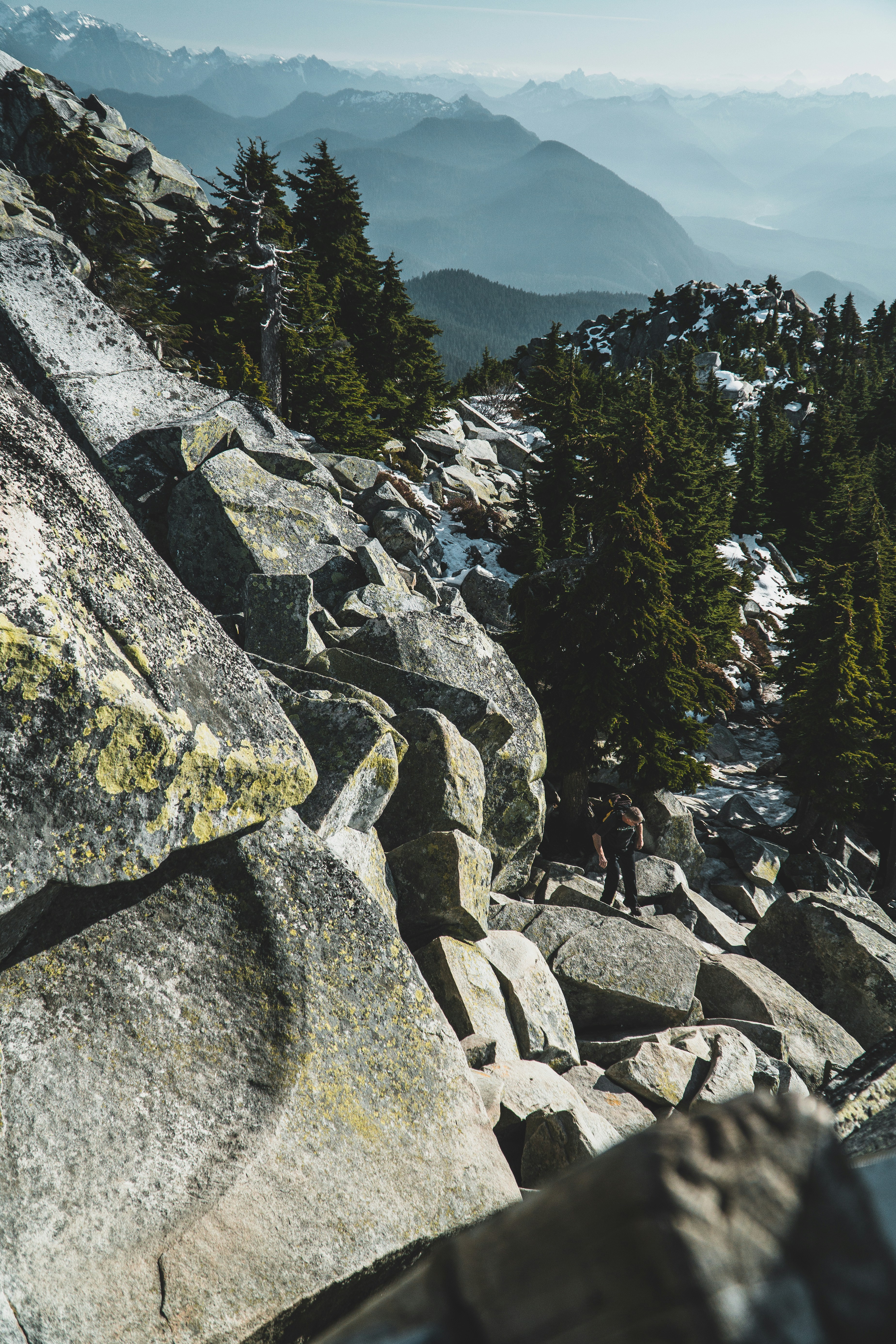 Photo by _tristanpineda