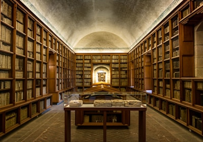 brown wooden bookshelves