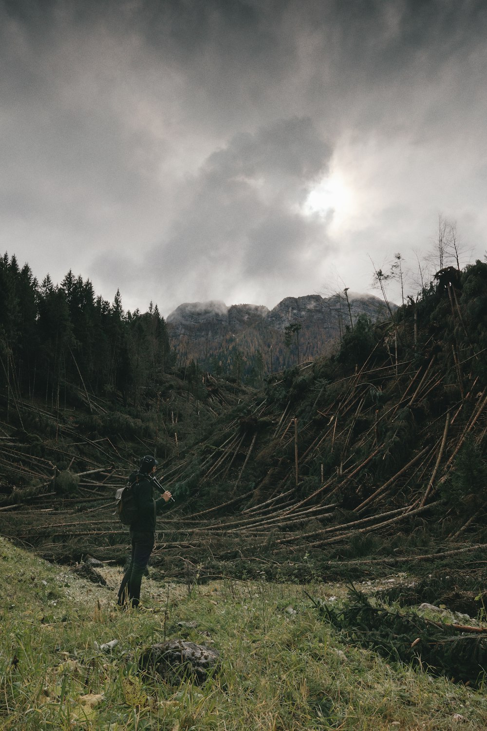 man standing on grass field facing mountain