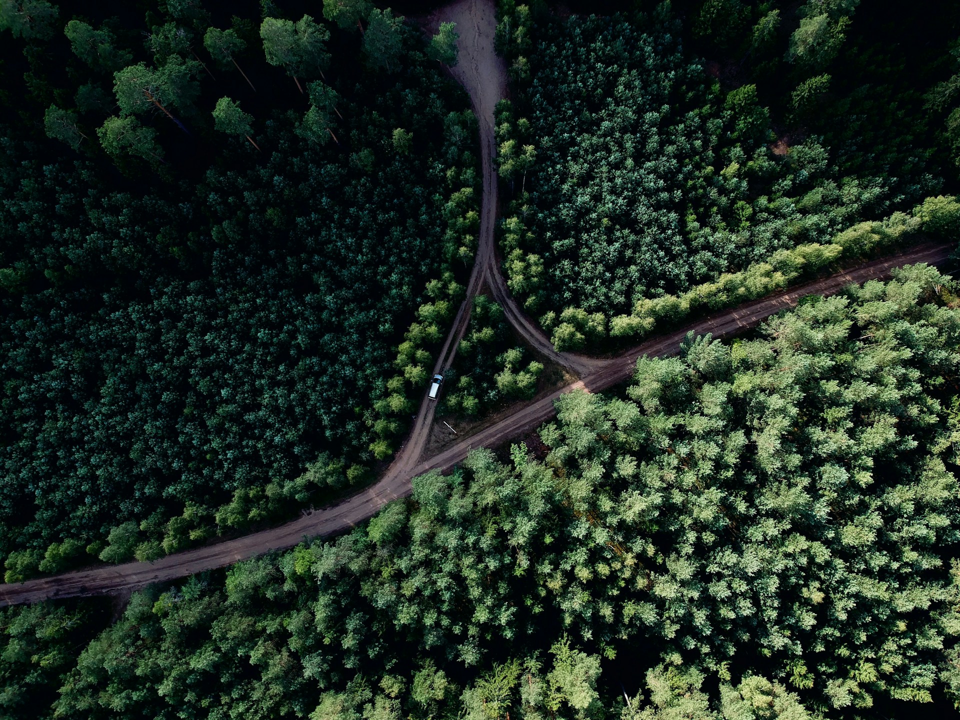 aerial photo of road at middle of forest