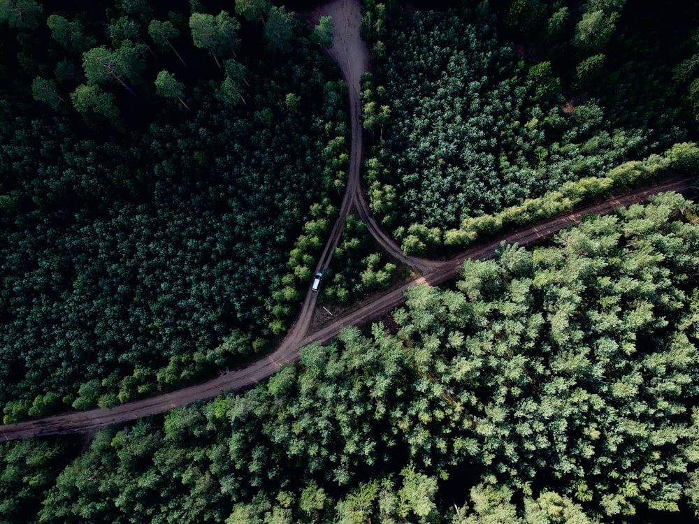 Luftbild der Straße mitten im Wald