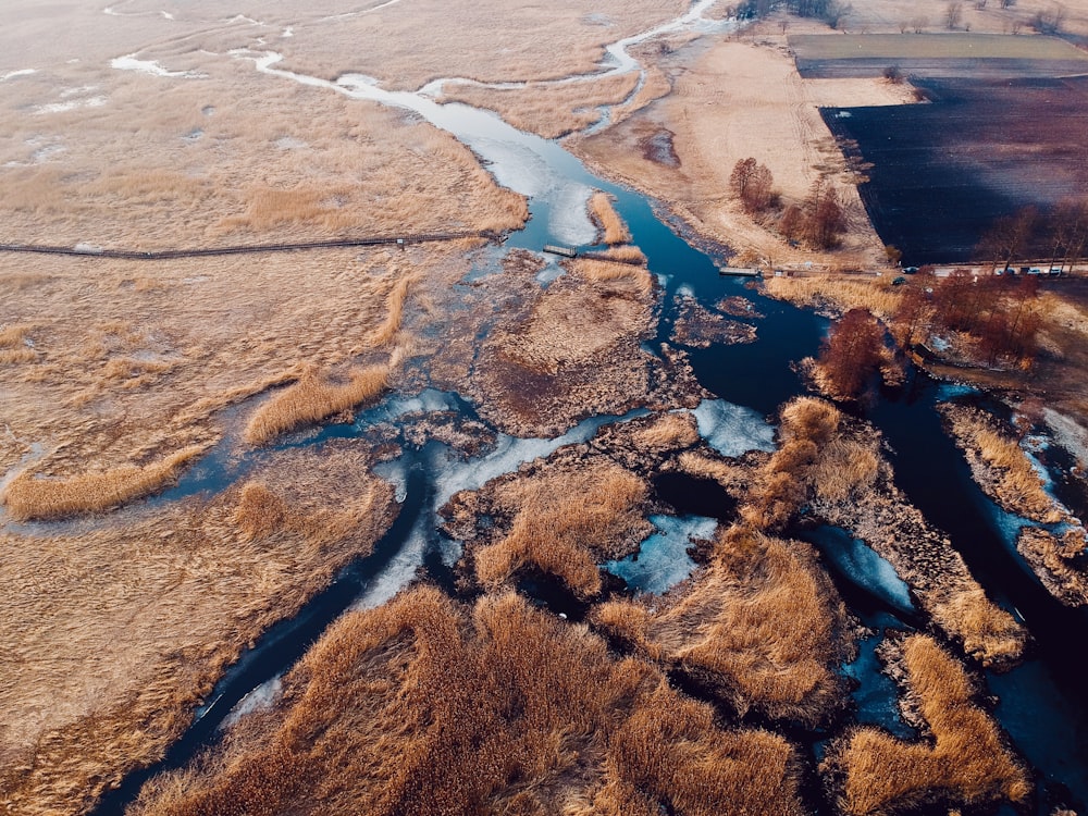 bird's-eye view photo of body of water and dried grass field