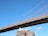 A seagull is perched on a weathered wooden post, with an iconic suspension bridge stretching across the background against a clear blue sky. The architectural lines of the bridge offer a striking contrast to the natural setting.