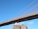 A seagull is perched on a weathered wooden post, with an iconic suspension bridge stretching across the background against a clear blue sky. The architectural lines of the bridge offer a striking contrast to the natural setting.
