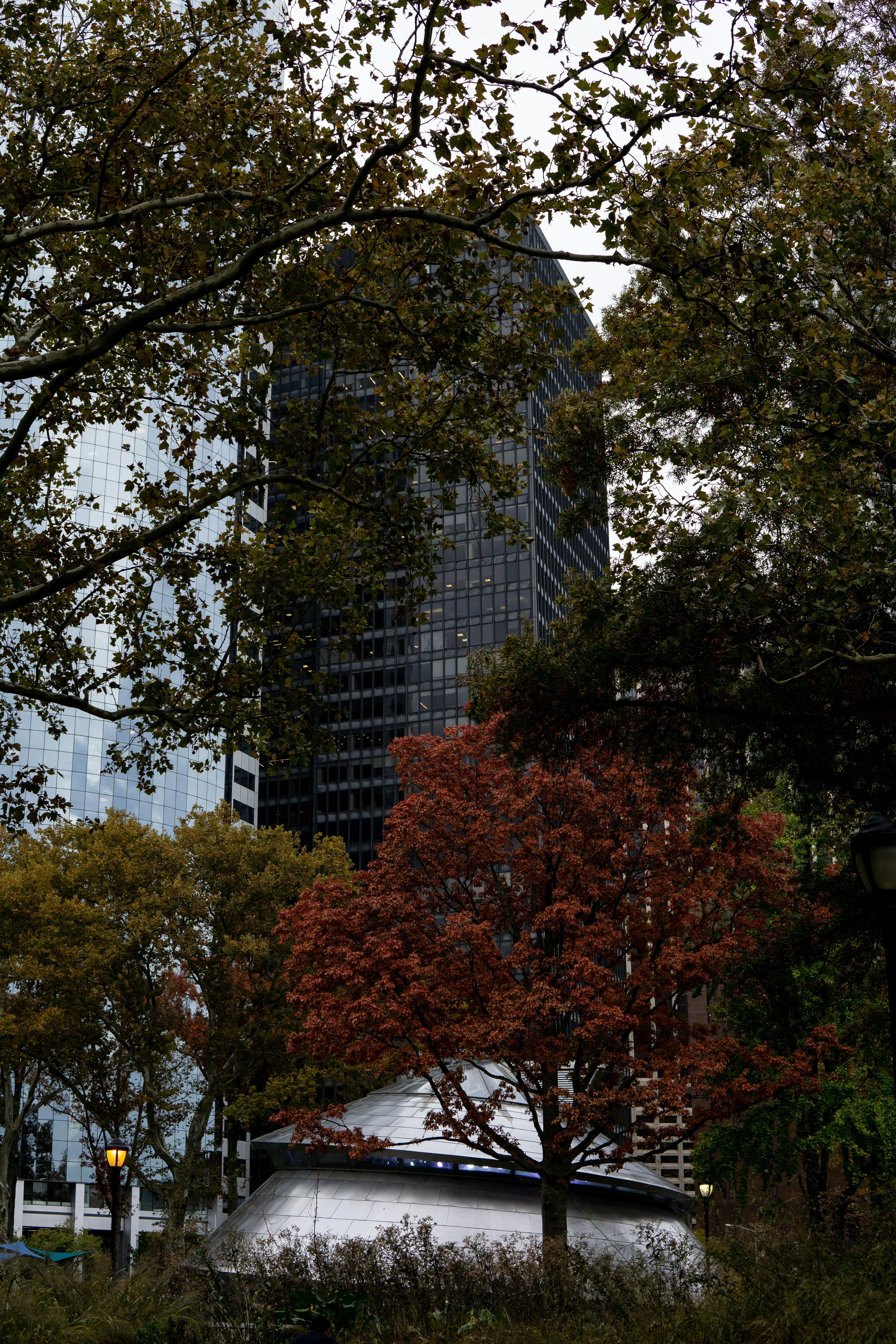 Photo by jakemoorejmo