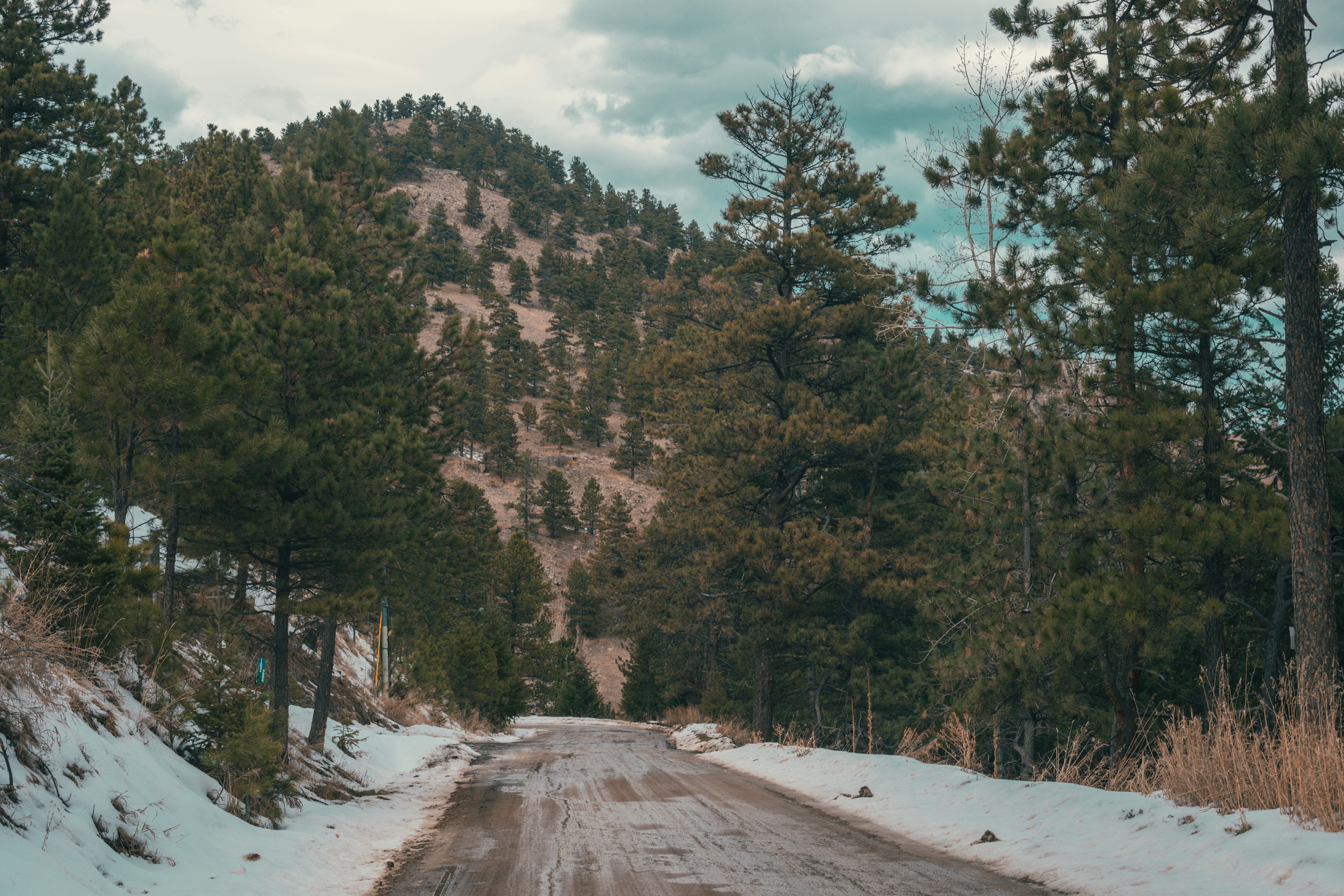 Photo by photosoflogan