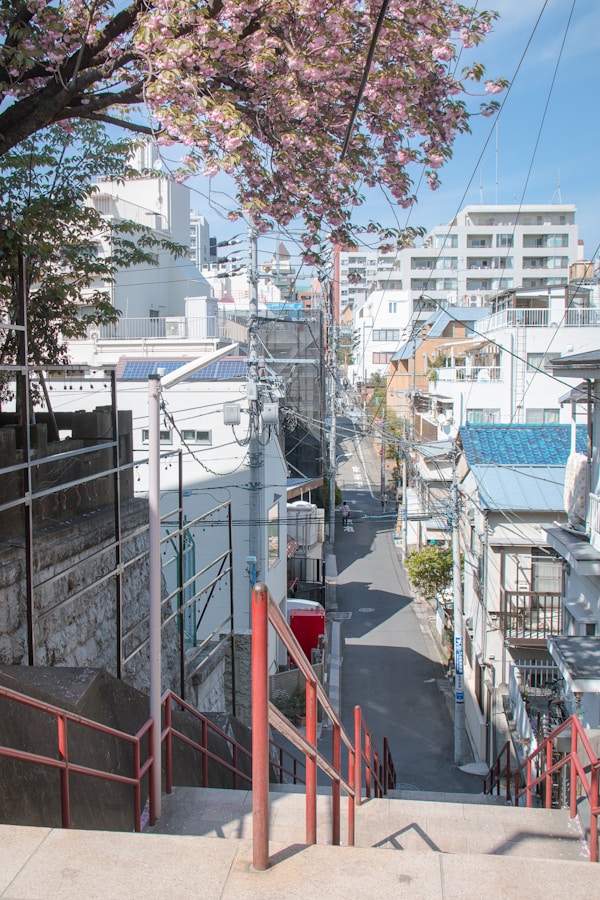 Exploring Tokyo's Traditional Dishes and Dining Scene