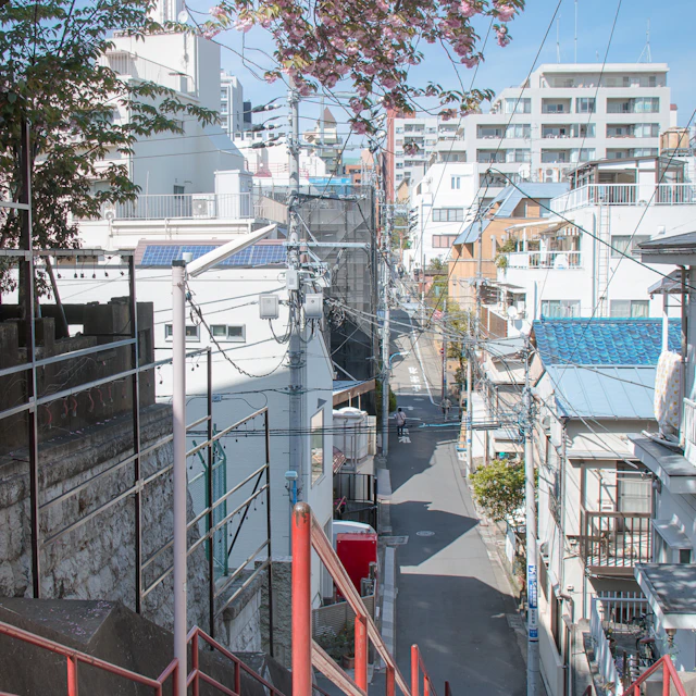 A narrow street in Tokyo seen from stone stairs under blooming cherry blossoms