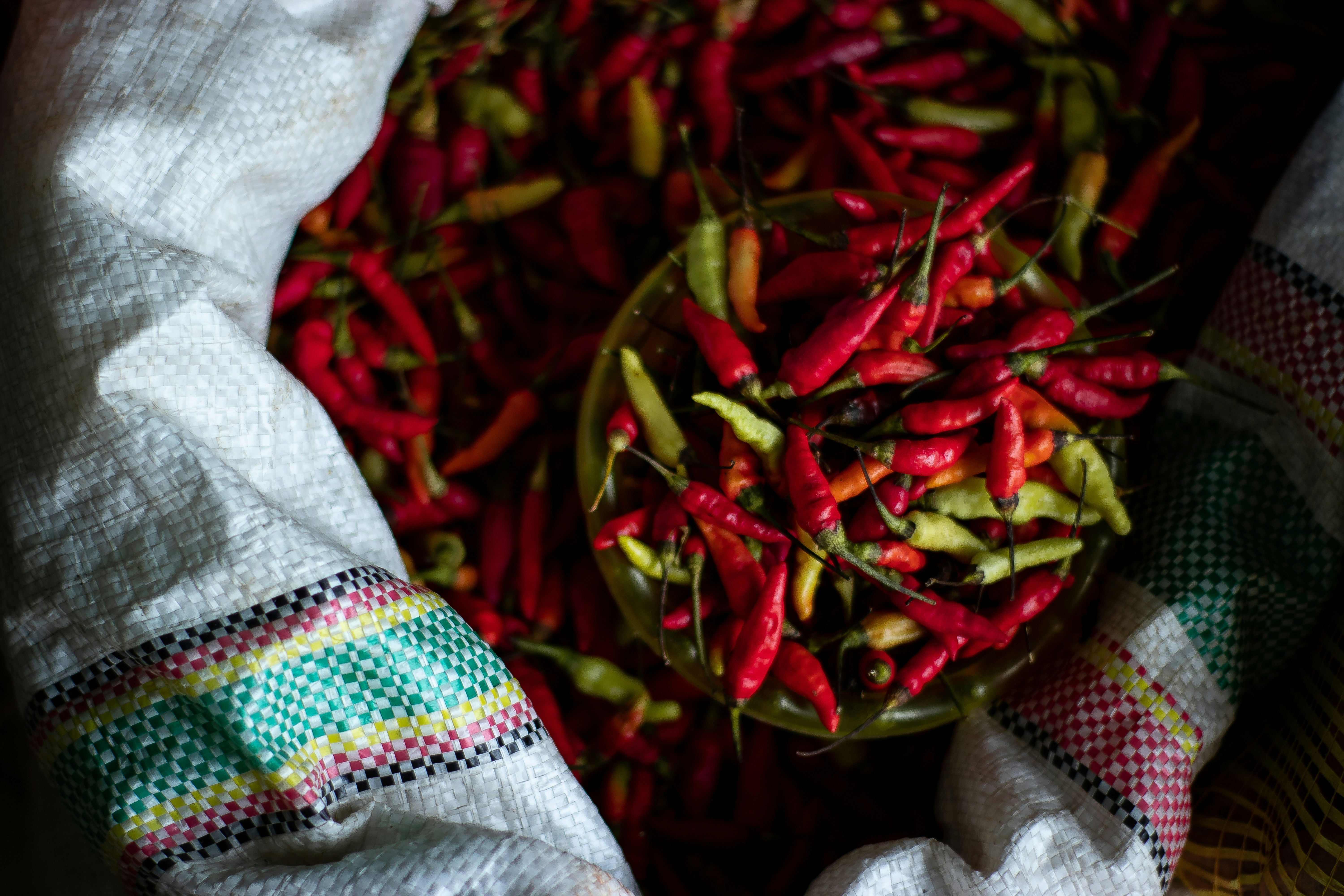 https://images.unsplash.com/photo-1542932883-fe7e7dbad533?ixid=M3w2MjYzNjJ8MHwxfHNlYXJjaHwzfHxDaGlsaSUyN3N8ZW58MHwwfHx8MTc0NzgxOTgxNHww&ixlib=rb-4.1.0
