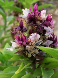 A close-up of a beehive surrounded by flowers in a natural setting.