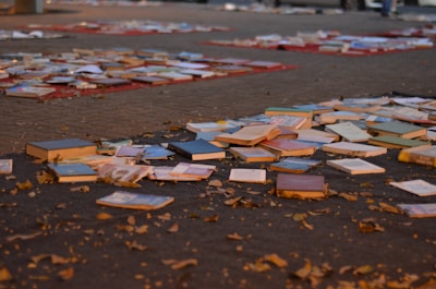 Scattered books and papers lie on the ground outside, surrounded by fallen leaves. The scene suggests a quiet moment, possibly after an event or sale, with books spread across a paved area.