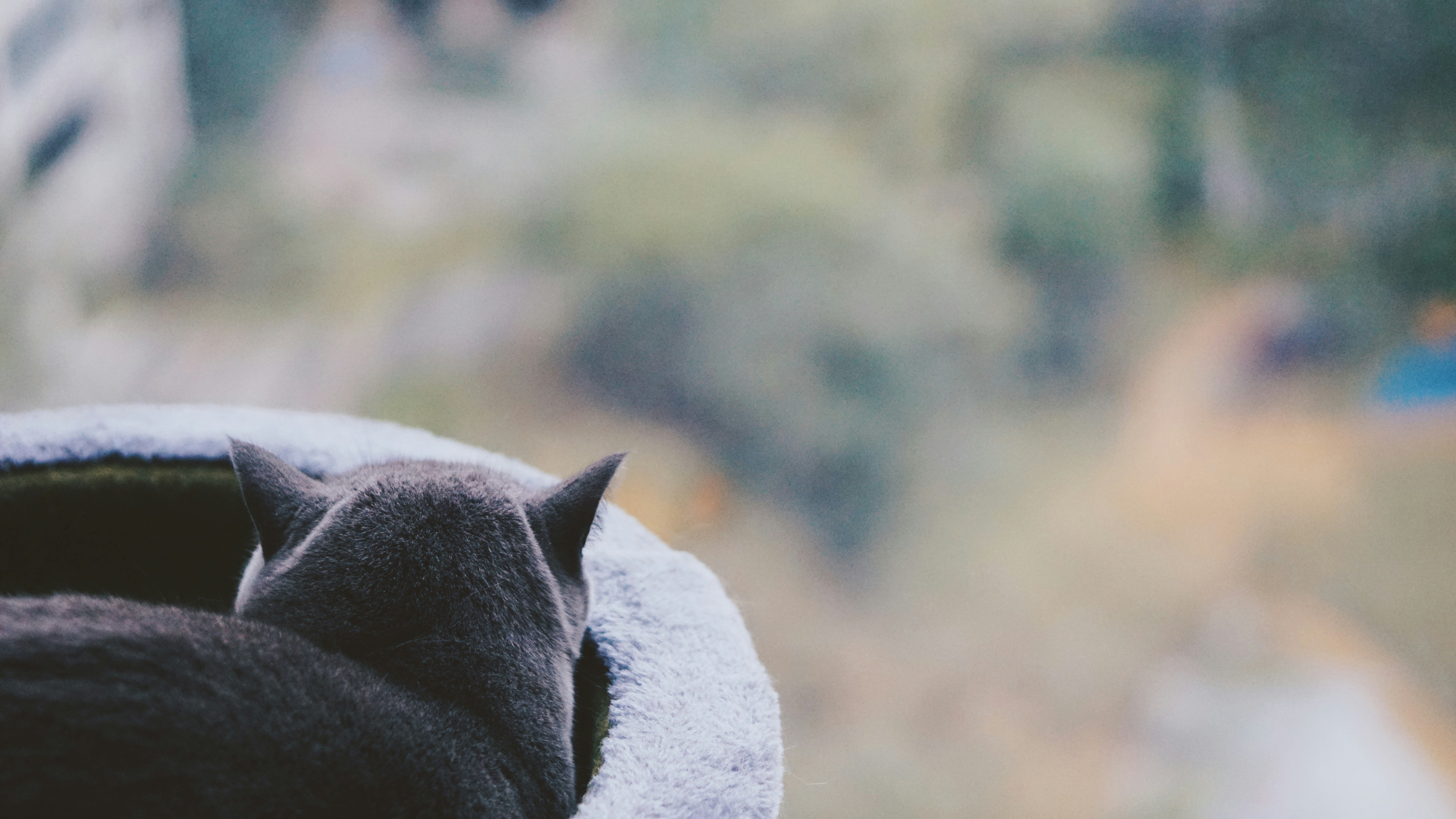 Photo by sevenbenzema