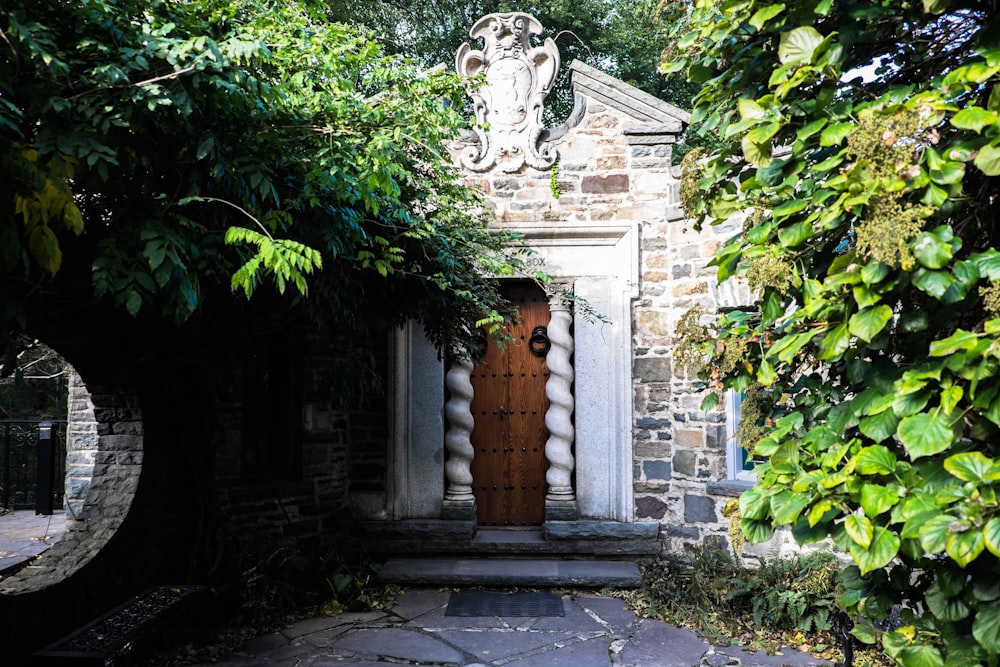 maison entourée d’arbres