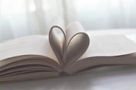 Soft focus on a handwritten vow book with a gentle vanilla background and a faint butterfly sketch.