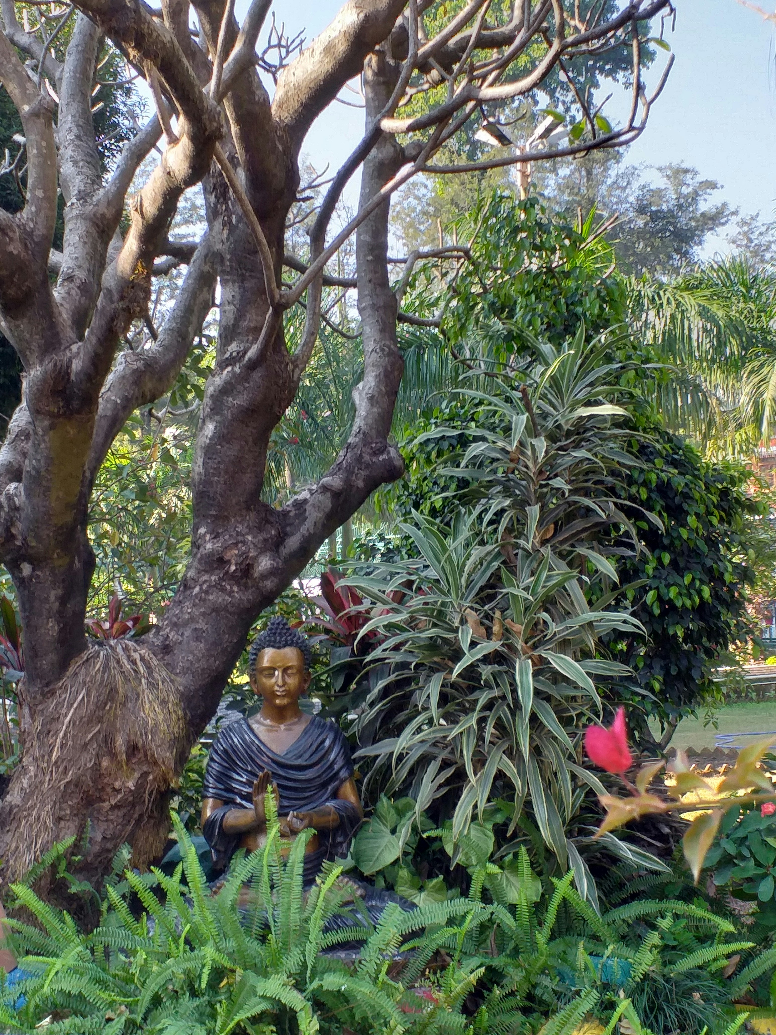 Como Criar um Cantinho de Meditação Entre as Plantas