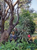 A meditative figure sitting peacefully in a lush garden.