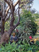 A peaceful outdoor meditation circle surrounded by lush greenery.