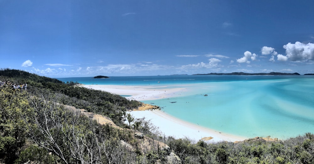 seashore during daytime