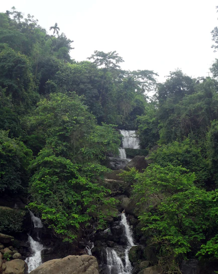 A vibrant tropical rainforest scene with a sparkling waterfall, colorful fruits, and realistic cartoon animals exploring.