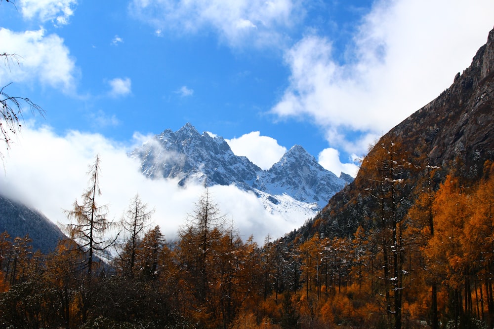 view of snowy mountain during daytime