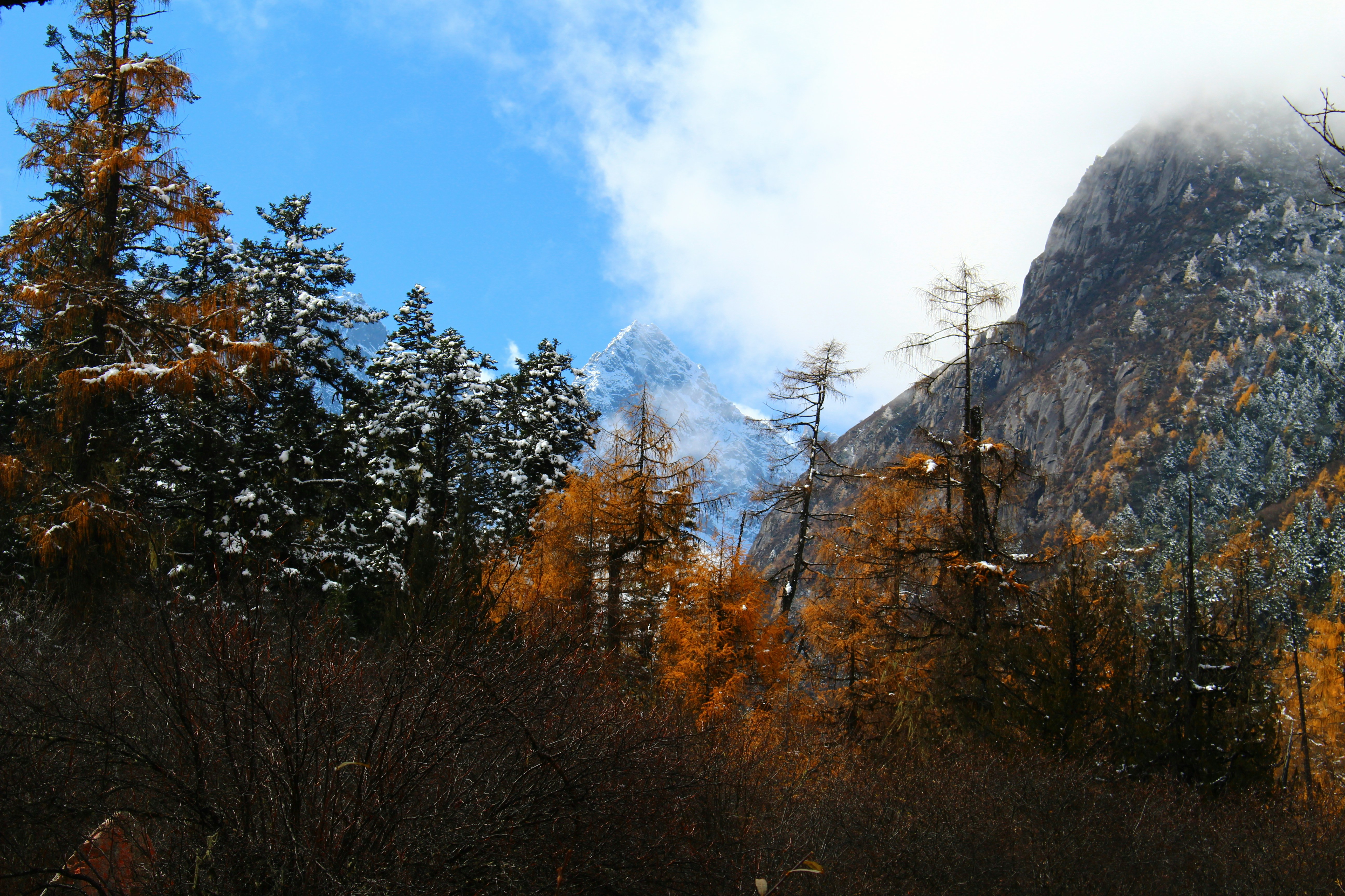 Photo by leafbricker