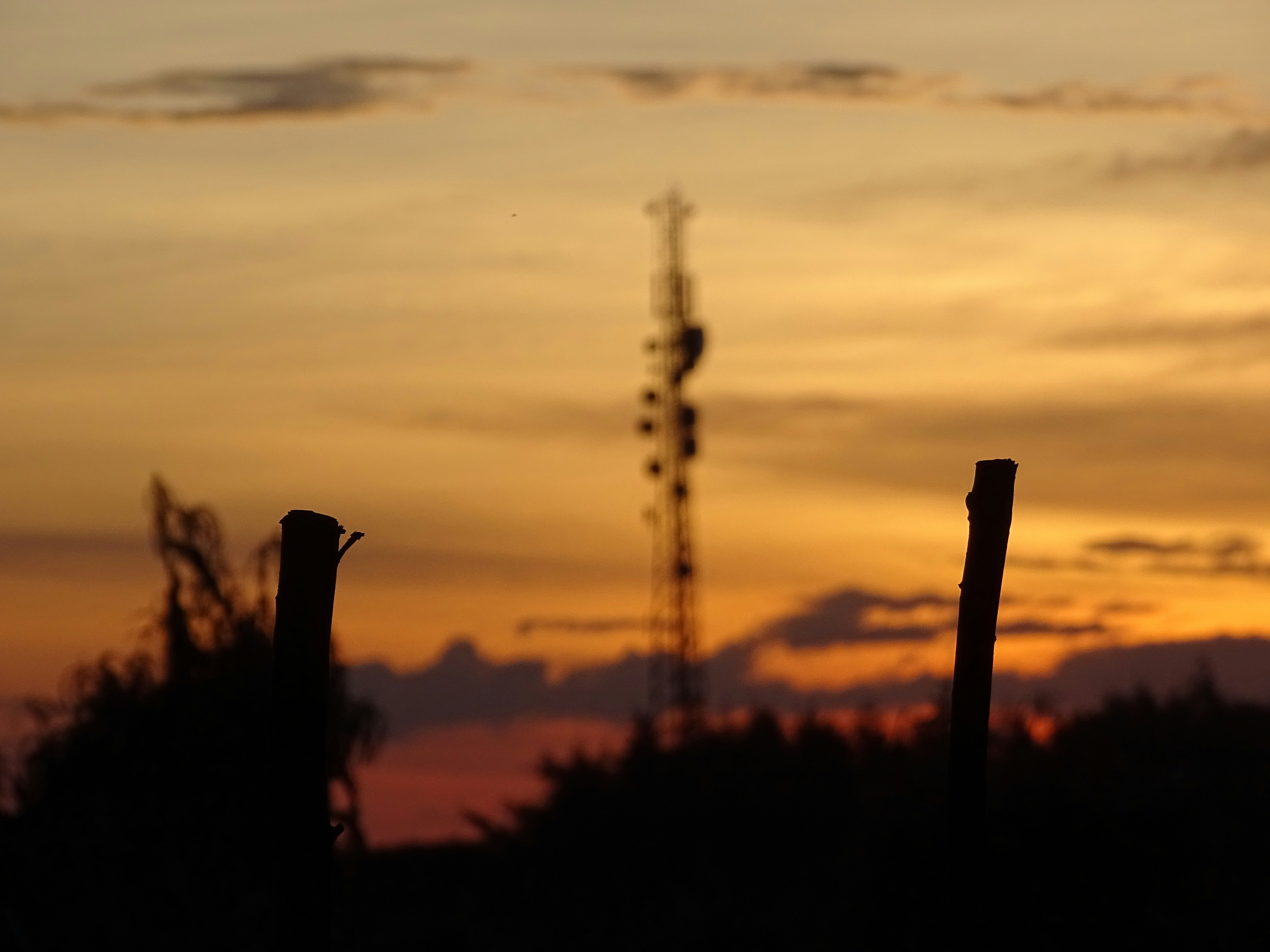 silhouette photography of stick near electric tower