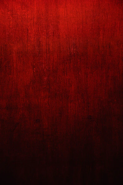 red and black floral textile