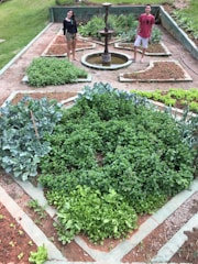 In a well-maintained garden, a variety of green plants and herbs grow in designated plots bordered by concrete edges. A small fountain is at the center, and two people are standing near it, one on each side, smiling. The soil appears rich and well-tended, with different sections showcasing various stages of plant growth.