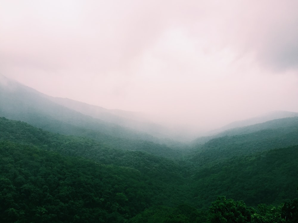 bird's-eye view photo of valley