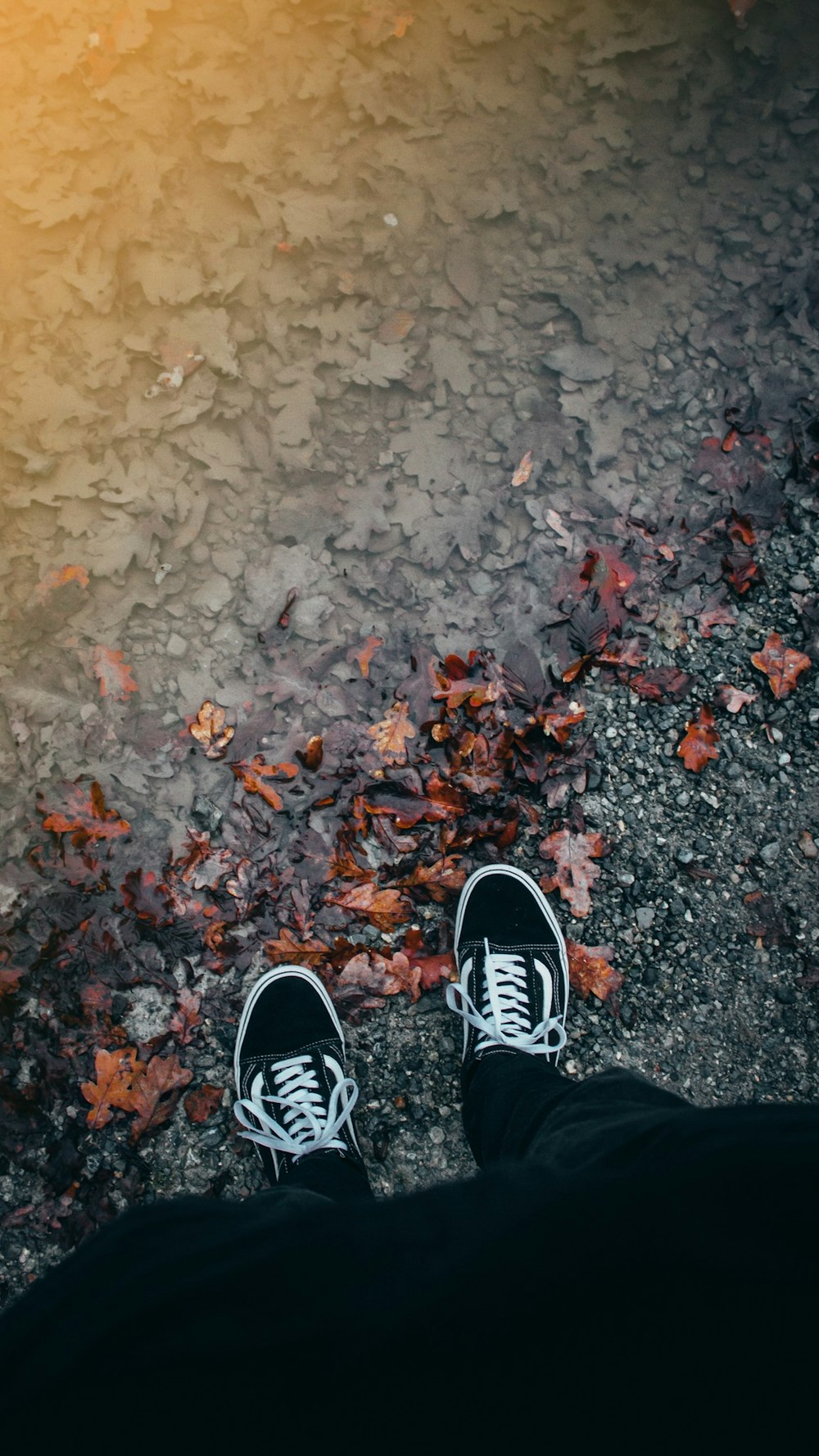 person wearing pair of black sneakers