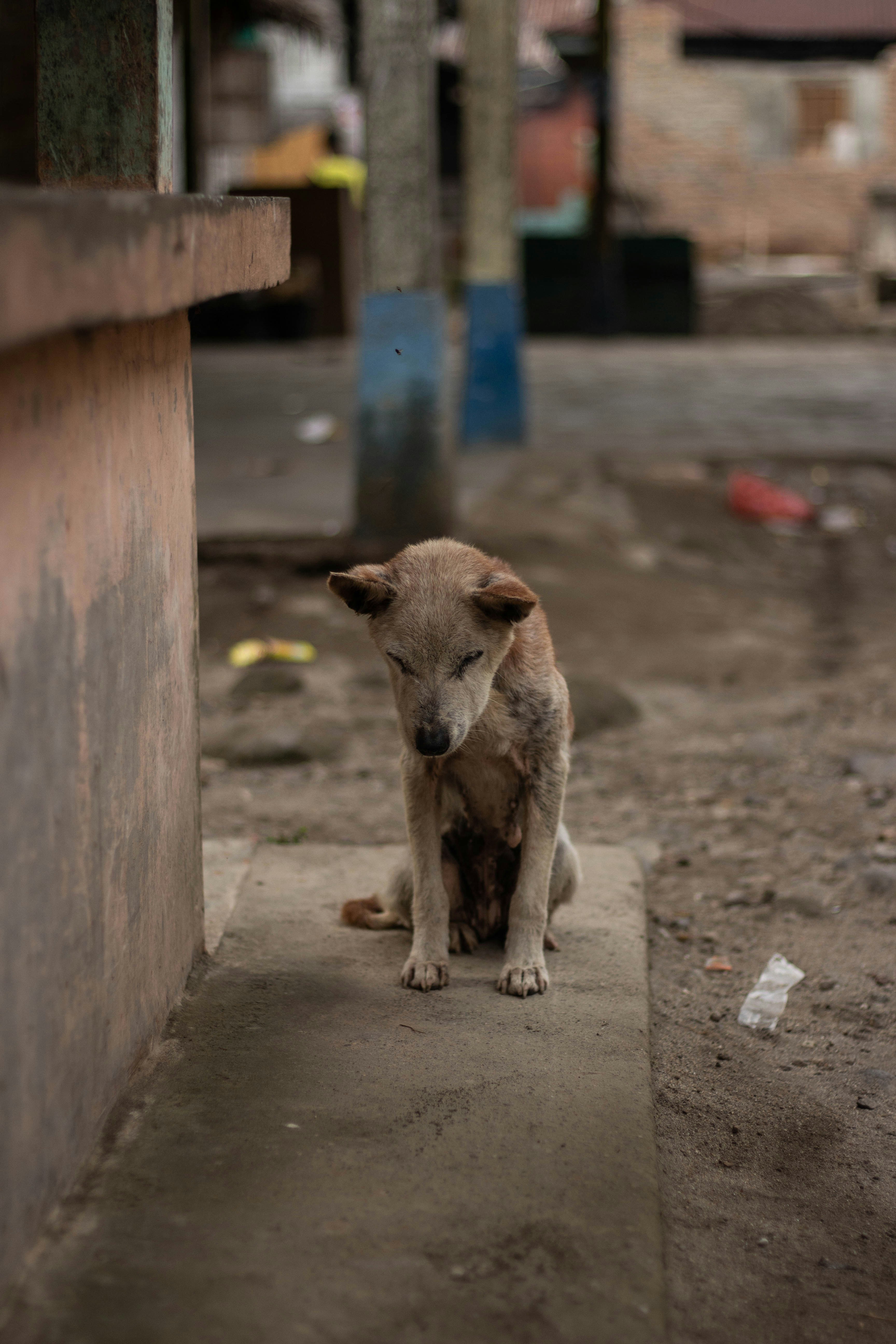 Photo by yansphotobook