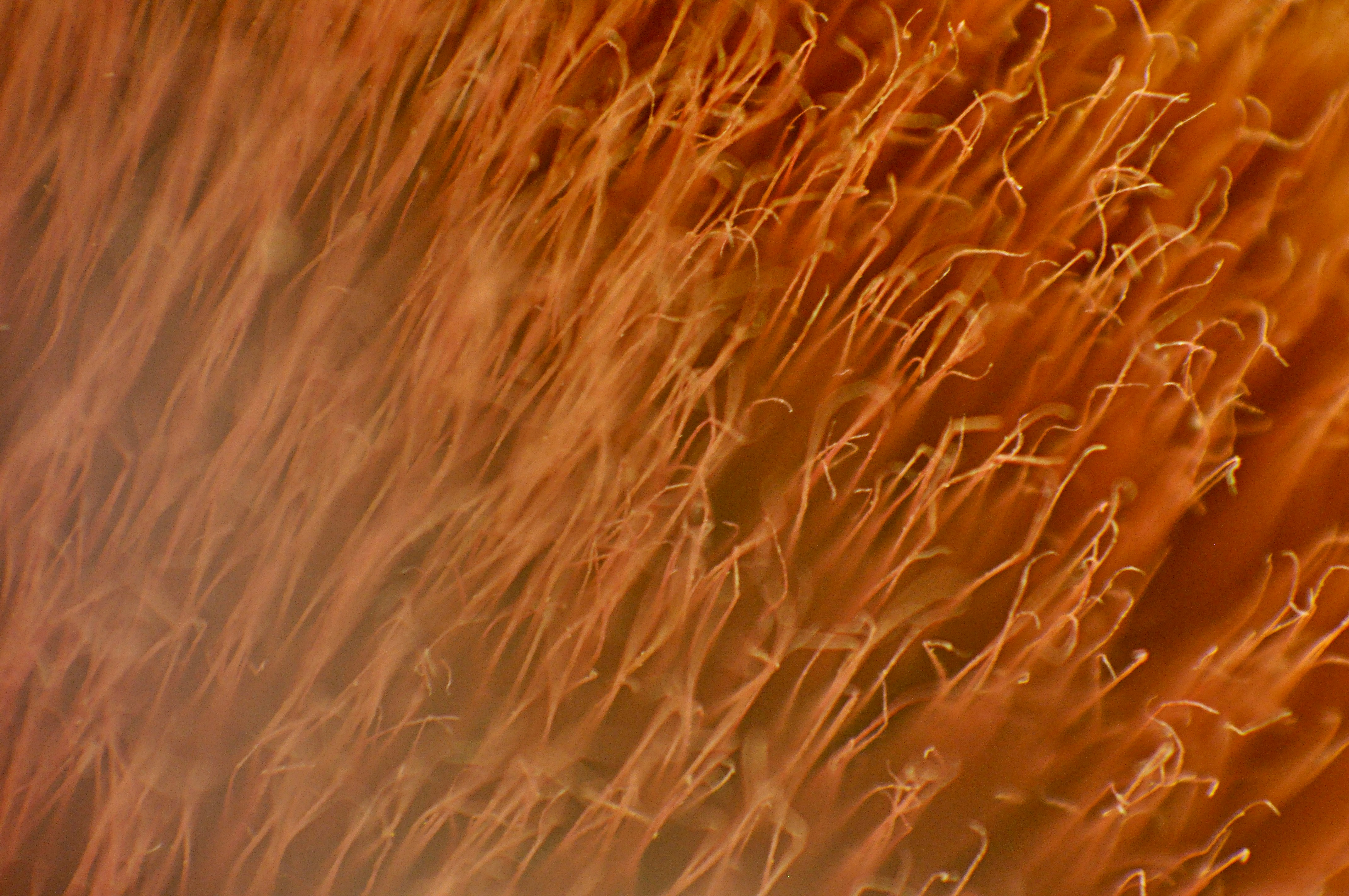 The Philosophy Behind 'Judge Not': Why Non-Judgment Transforms