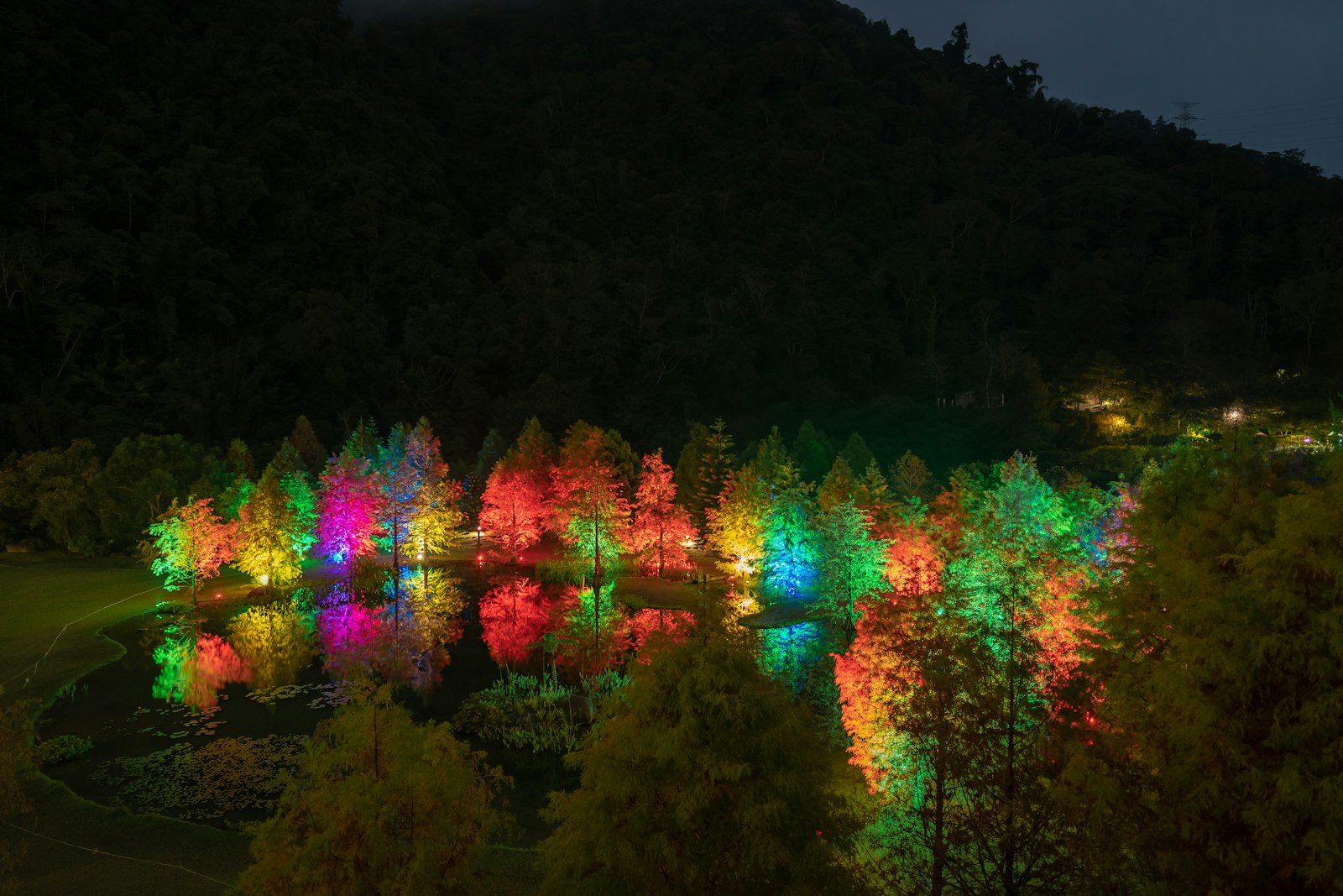 Sony FE 24mm F1.4 GM sample photo. Green trees photography