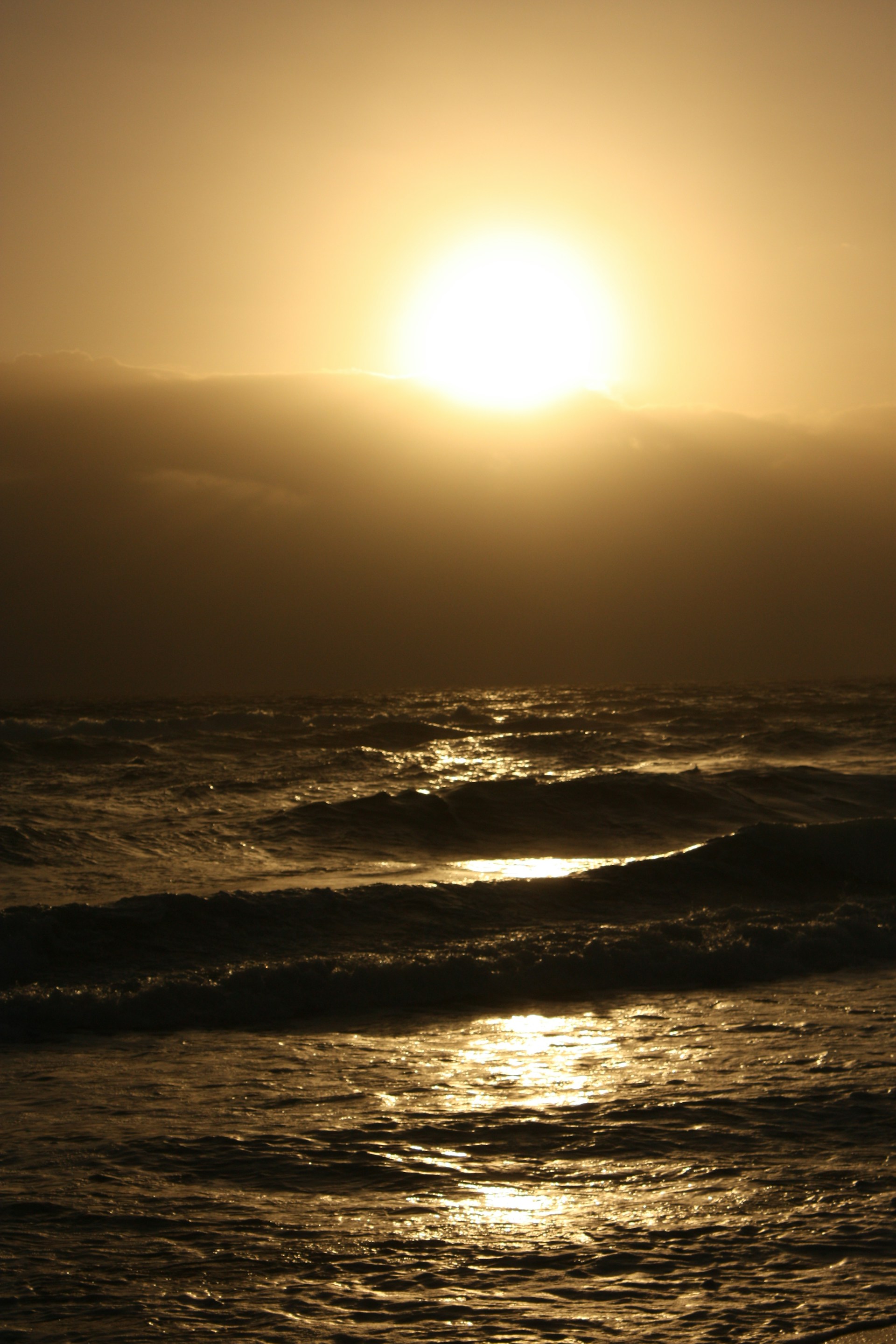 gray computer monitor