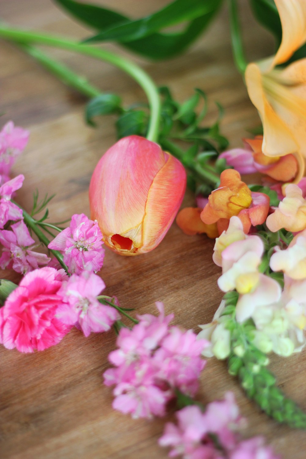 close-up of pink and yellow flowers