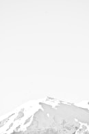 white and gray floral bed sheet