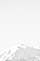 white and gray floral bed sheet