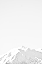 white and gray floral bed sheet