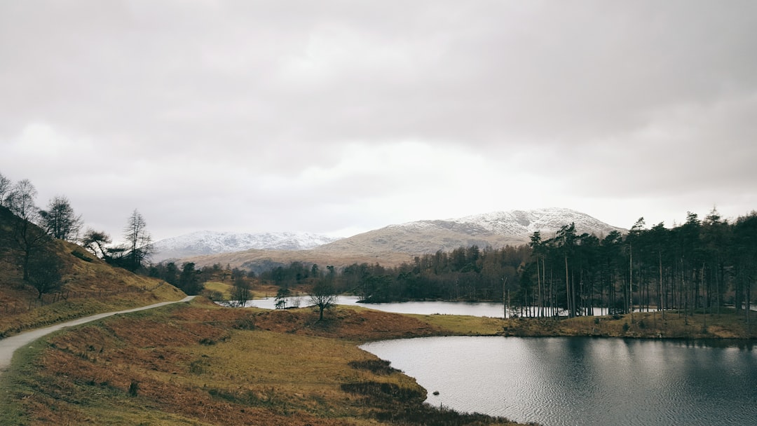 Highland photo spot Tarn Hows Kielder Forest