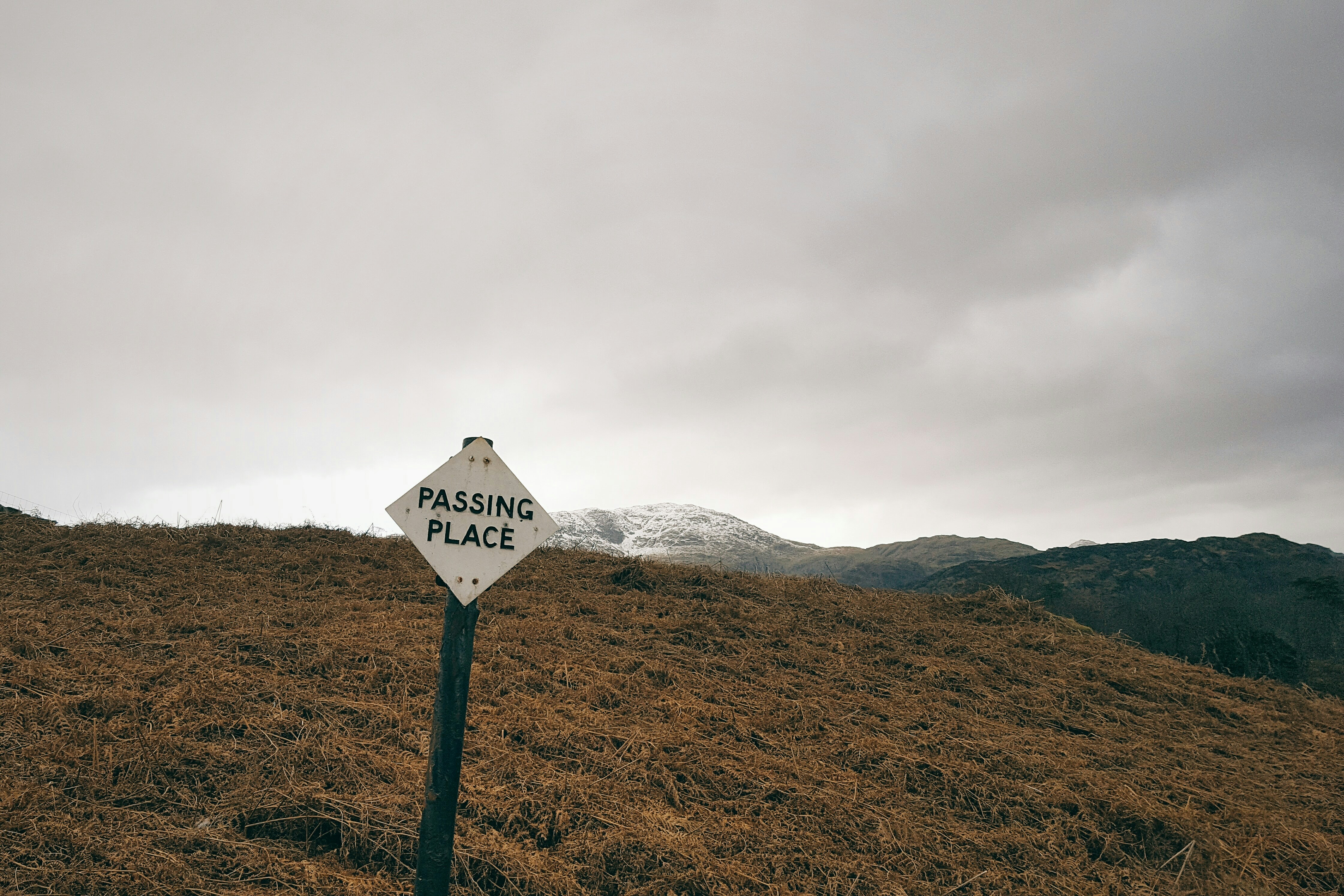 How Similar Are International Economic Relations of EU Member States? Comparing Trade, Investment and Political Behavior