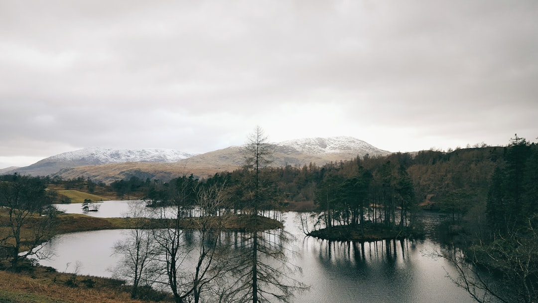 Highland photo spot Tarn Hows Lake District National Park