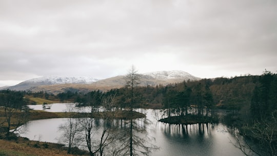 in distant photo of calm body of water with trees in Tarn Hows United Kingdom