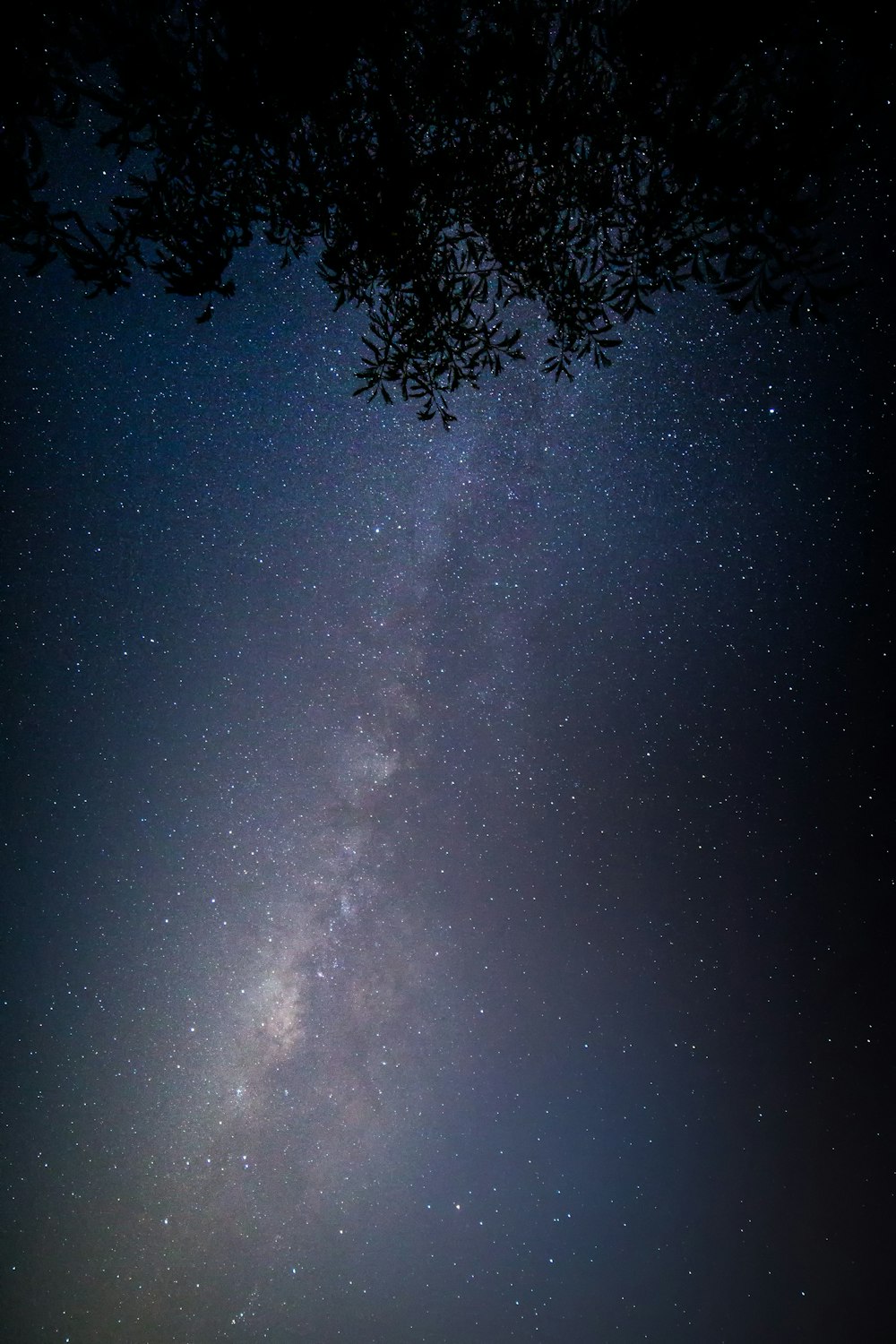 worms-eye view photo of sky