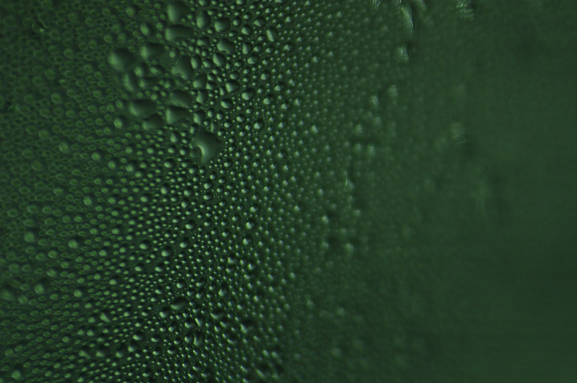 green moist
