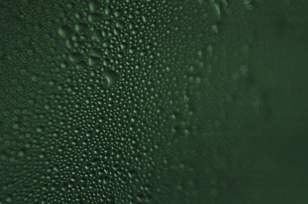 green moist