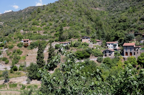 A lush hillside landscape is dotted with several small houses, surrounded by dense greenery and terraced gardens. The scene is set in a rural area with a variety of trees and shrubs covering the slopes. The structures have red-tiled roofs, adding a charming touch to the verdant environment.