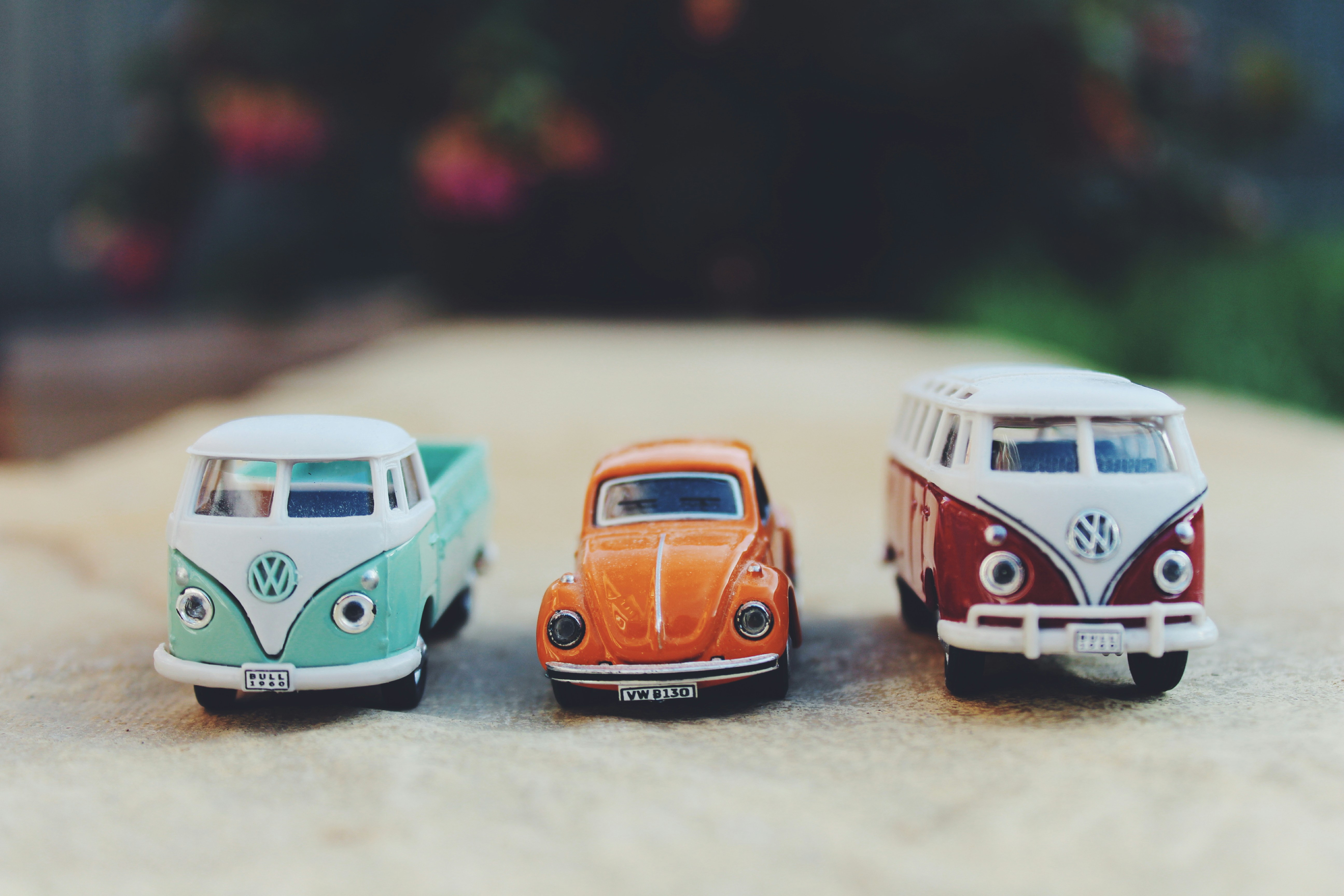 Photo by zoes_photography01