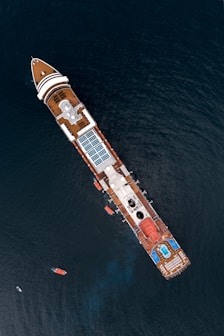 white and brown cruise ship